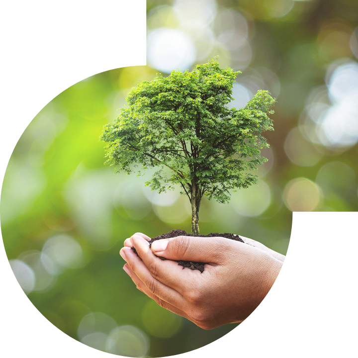 關懷人類、文化、環境與社會